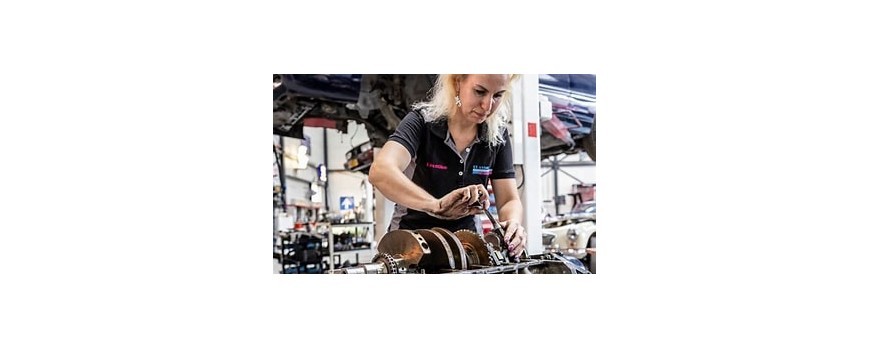 Leontine van Classic Paradise